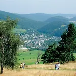 Edelweiss De Luxe Mit Garten, Hotelanbindung, Saunalandschaft Und Meinecardplus *