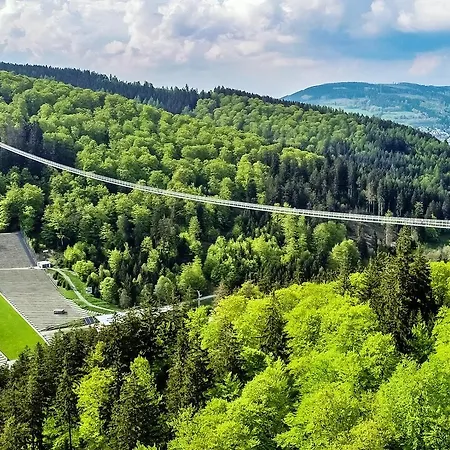 Edelweiss De Luxe Mit Garten, Hotelanbindung, Saunalandschaft Und Meinecardplus Apartmán Willingen (Upland)
